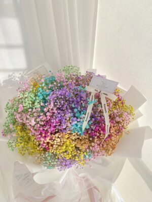 Rainbow Baby Breath