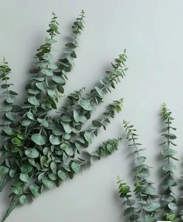 Baby Blue Eucalyptus