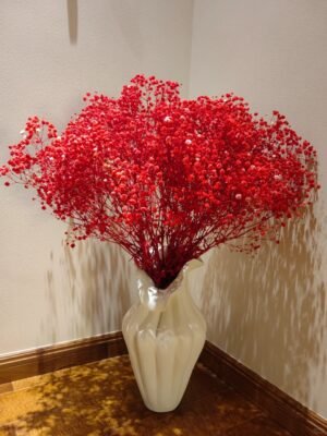 Red Baby Breath