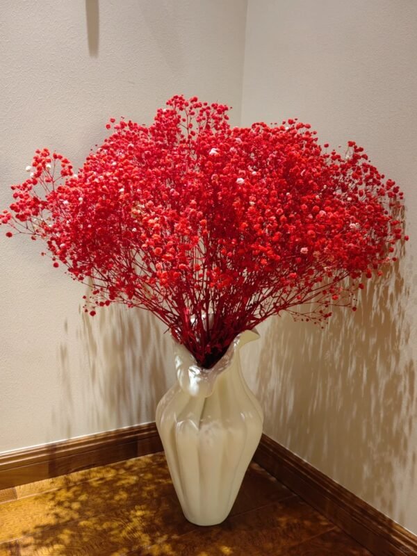 Red Baby Breath