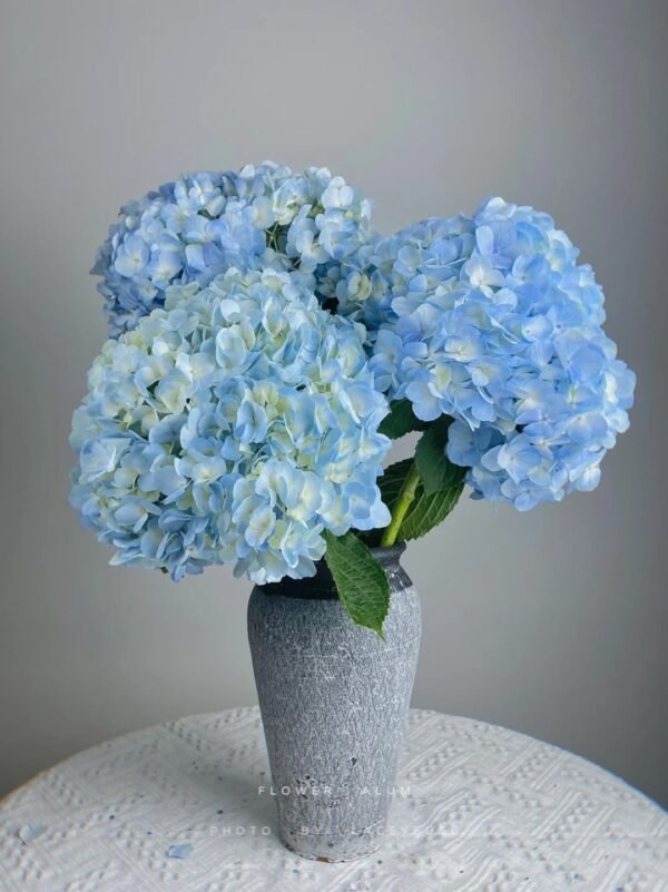 Light Blue Hydrangea