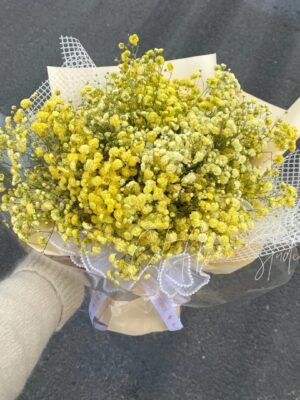 Yellow Baby Breath