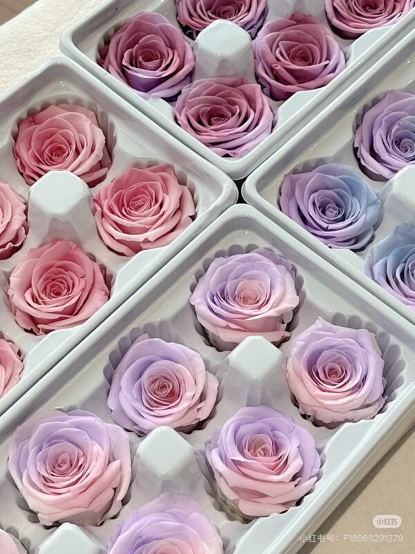 DIY Material Collection