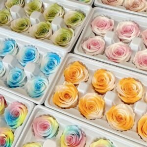 DIY Material Collection