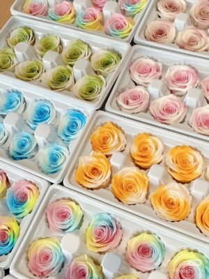 DIY Material Collection